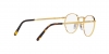 RX3637V New Round Eyeglasses