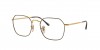 RX3694V Jim Eyeglasses