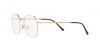 RX3694V Jim Eyeglasses