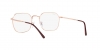 RX3694V Jim Eyeglasses