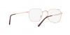 RX3694V Jim Eyeglasses