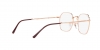 RX3694V Jim Eyeglasses