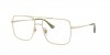 RX3758V Ari Eyeglasses