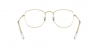 RX3857V Frank Eyeglasses