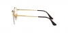 RX3947V Round Gaze Eyeglasses