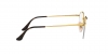 RX3947V Round Gaze Eyeglasses