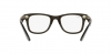 RX4340V Wayfarer Ease Eyeglasses