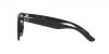 RX4379VD Eyeglasses