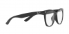 RX4379VD Eyeglasses