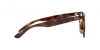 RX4379VD Eyeglasses