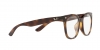 RX4379VD Eyeglasses