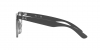 RX4379VD Eyeglasses