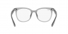 RX4379VD Eyeglasses