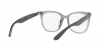 RX4379VD Eyeglasses