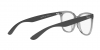 RX4379VD Eyeglasses