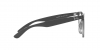 RX4379VD Eyeglasses