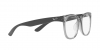 RX4379VD Eyeglasses