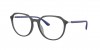 RX4415VL Eyeglasses