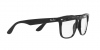 RX4487V Steve Eyeglasses