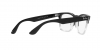 RX4487V Steve Eyeglasses