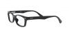 RX5017A Eyeglasses