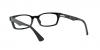 RX5017A Eyeglasses