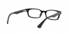 RX5017A Eyeglasses