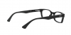 RX5017A Eyeglasses
