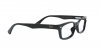 RX5017A Eyeglasses