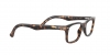 RX5228 Eyeglasses