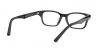RX5345D Eyeglasses
