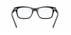RX5383 Mr Burbank Eyeglasses