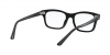 RX5383 Mr Burbank Eyeglasses