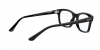 RX5383 Mr Burbank Eyeglasses