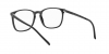 RX5387 Eyeglasses