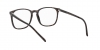 RX5387 Eyeglasses