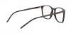 RX5387 Eyeglasses