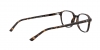 RX5393 Leonard Eyeglasses