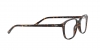 RX5393 Leonard Eyeglasses