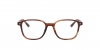 RX5393 Leonard Eyeglasses