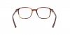 RX5393 Leonard Eyeglasses