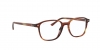RX5393 Leonard Eyeglasses