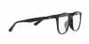 RX5411D Eyeglasses