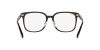 RX5419D Eyeglasses
