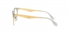 RX6396 Eyeglasses