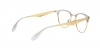 RX6396 Eyeglasses