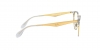 RX6396 Eyeglasses