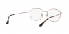 RX6418D Eyeglasses