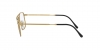 RX6434 Eyeglasses