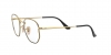 RX6448 Eyeglasses